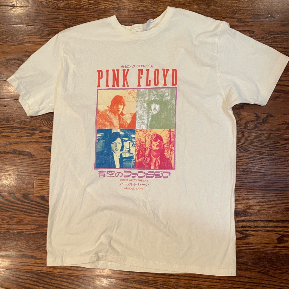 Unisex Pink Floyd T-Shirt | Point Me To The Sky Asia Distressed XL Cream